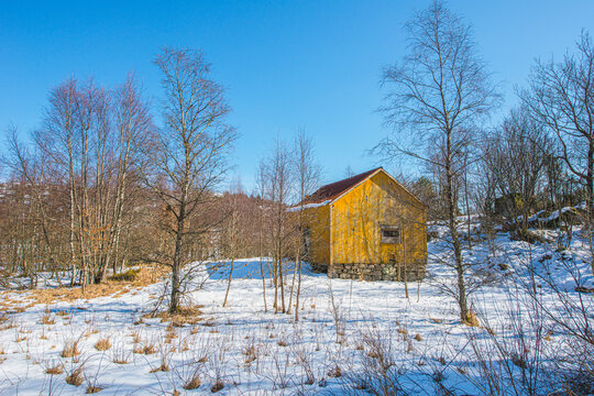 Small yellow rural barn surrounded by snowy field and bare trees.