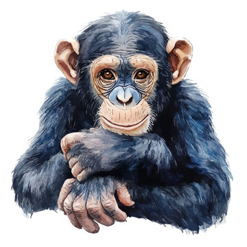 watercolor of Chimpanzee vector painting, isolated on a white background.