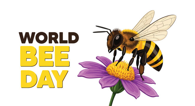 World bee day celebration a honeybee on a purple flower