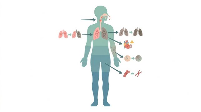 Effects of Smoking and Timeline of Health Recovery in Addiction Recovery Healthcare Explained Through a Human Body Diagram