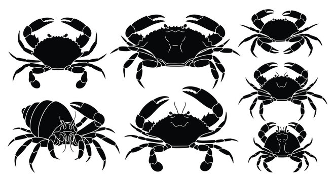 A collection of diverse crab species rendered as striking black shapes against a white background silhouette high quality professional detailed modern
