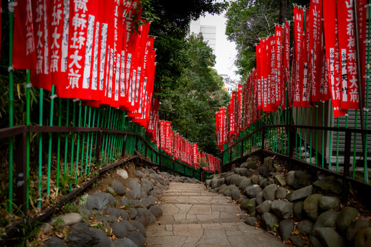 Red tori and inari gates at a shrine in Tokyo, Japan.