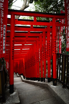 Red tori and inari gates at a shrine in Tokyo, Japan.