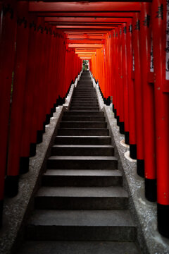 Red tori and inari gates at a shrine in Tokyo, Japan.