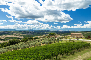 Naklejka premium Tuscan vineyard landscape showing farmhouse and olive trees