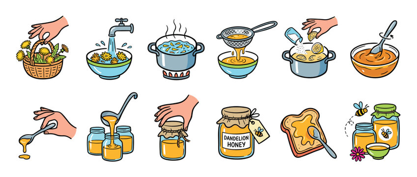 Step-by-step illustrated guide for making homemade dandelion honey from fresh flowers, showing the entire cooking process from picking to jarring in a colorful cartoon style