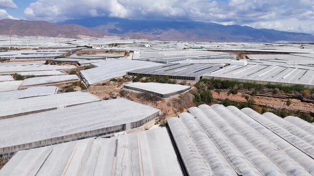 plastic sea greenhouse invernaderos industry texture landscape agriculture field terra forming earth environment architecture pattern structure intensive farming drone aerial - Andalusia, Spain - 2025