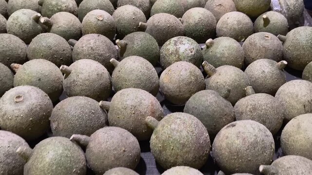 Fresh wood apples for wholesale, also called bael, stone apple, elephant apple. Organic vegan fruit rich in fiber, vitamin C, antioxidants. Ideal for juice, chutney, health foods, tropical markets.