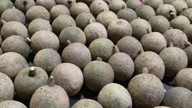 Fresh wood apples for wholesale, also called bael, stone apple, elephant apple. Organic vegan fruit rich in fiber, vitamin C, antioxidants. Ideal for juice, chutney, health foods, tropical markets.