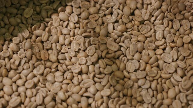 Top view green unroasted coffee beans pouring into roaster hopper in industrial setting.