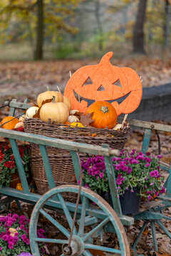 Autumn harvest pumpkins and jack o' lantern on wooden cart
