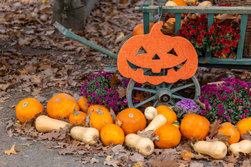 Halloween jack o' lantern decoration with pumpkins and autumn flowers © Richard Semik