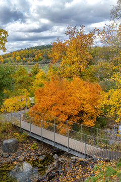 Troja botanical garden bridge in autumn colors