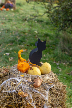 Black cat silhouette with pumpkins on hay bale celebrating Halloween in Prague