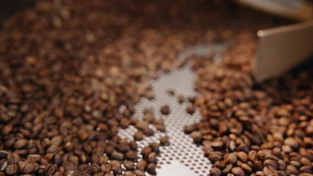 Roasted coffee beans being mixed by metal agitator in roaster drum, Roasting shop factory.