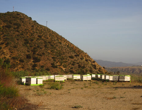 Beehive Boxes in Arid Wilderness Area