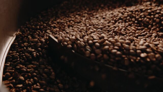 Slow motion coffee beans tumbling and cooling inside industrial roaster with agitator paddle.