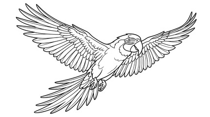Obraz premium A black and white illustration of a bird in flight with outstretched wings