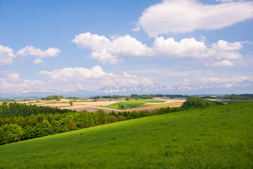 Naklejka premium 美瑛 新栄の丘展望公園から望むパッチワークの路と十勝岳連峰( Patchwork hills and Tokachi mountains from Shinei-no-oka Park, Biei)