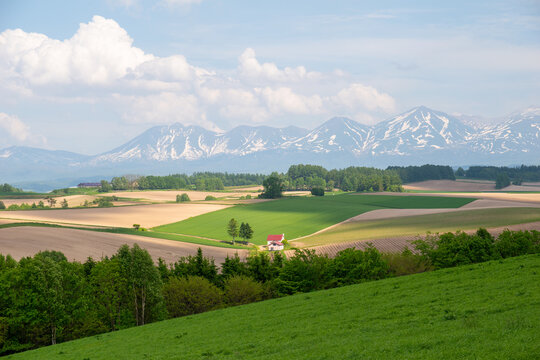 美瑛 新栄の丘展望公園から望むパッチワークの路と十勝岳連峰(
Patchwork hills and Tokachi mountains from Shinei-no-oka Park, Biei)