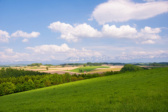 美瑛 新栄の丘展望公園から望むパッチワークの路と十勝岳連峰(
Patchwork hills and Tokachi mountains from Shinei-no-oka Park, Biei)