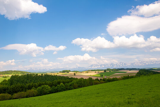 美瑛 新栄の丘展望公園から望むパッチワークの路と十勝岳連峰(
Patchwork hills and Tokachi mountains from Shinei-no-oka Park, Biei)