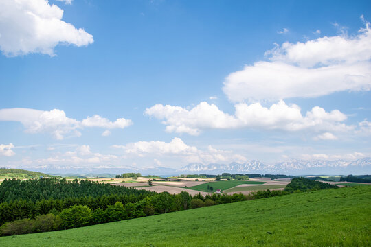 美瑛 新栄の丘展望公園から望むパッチワークの路と十勝岳連峰(
Patchwork hills and Tokachi mountains from Shinei-no-oka Park, Biei)