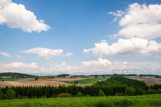 美瑛 新栄の丘展望公園から望むパッチワークの路と十勝岳連峰(
Patchwork hills and Tokachi mountains from Shinei-no-oka Park, Biei)