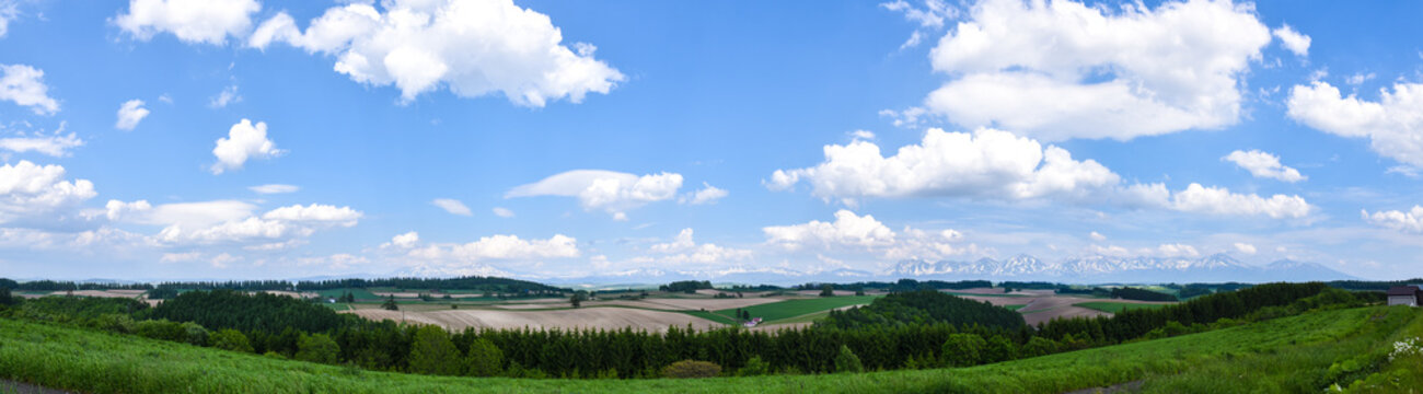 美瑛 新栄の丘展望公園から望むパッチワークの路と十勝岳連峰(
Patchwork hills and Tokachi mountains from Shinei-no-oka Park, Biei)