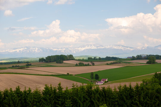 美瑛 新栄の丘展望公園から望むパッチワークの路と十勝岳連峰(
Patchwork hills and Tokachi mountains from Shinei-no-oka Park, Biei)