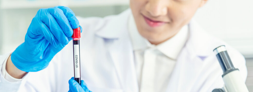 Banner Scientist man hands look at Glass Petri Dish use Microscope research in science laboratory. Banner Close up scientist hands using fungi Dish laboratory chemistry medical lab with copy space