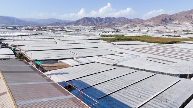 plastic sea agriculture field greenhouse invernaderos drone aerial intensive farming industry architecture business terra forming earth mountain summer horizon - Andalusia, Spain - 2025