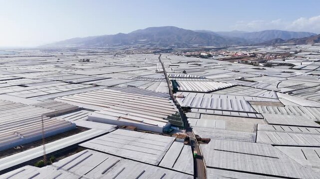 plastic sea agriculture field greenhouse invernaderos texture drone aerial infinite architecture pattern road structure terra forming intensive farming mountain industry - Andalusia, Spain - 2025
