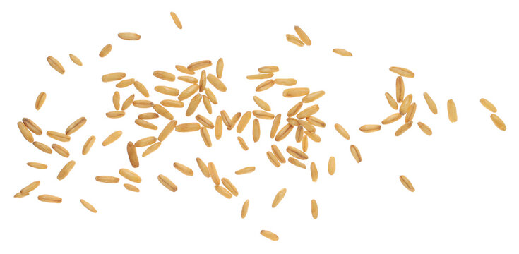 Close up peeled oat grains flying, isolated on white background and texture, clipping path, macro