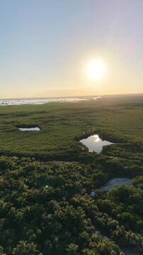 Aerial Drone View of Tulum Coastline at Sunset Caribbean Beach Riviera Maya Mexico