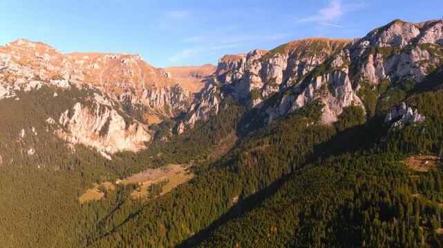 Aerial view of rugged mountain peaks and dense pine forests under a clear blue sky in the Bucegi Mountains, Bran, Brasov, Romania.