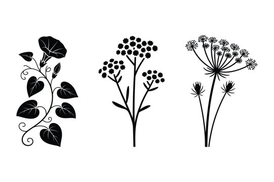 Black botanical flower silhouettes set of wildflowers and meadow herbs