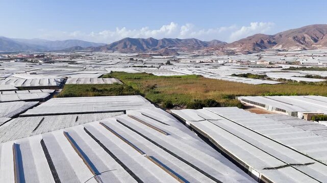 greenhouse agriculture industry plastic sea field empty space text farming roof intensive modern land country mountain skyline summer nature architecture pattern - Andalusia, Spain - 2025