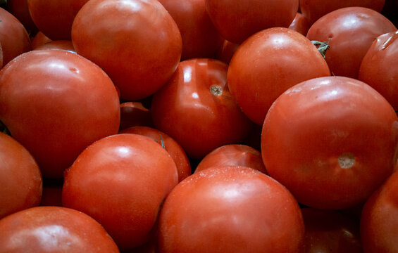 Fresh ripe red tomatoes