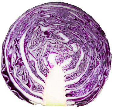 Purple cabbage cut in half isolated on white background