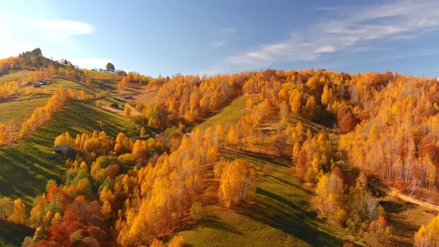 Aerial view of vibrant autumn foliage on rolling hills with a small wooden cabin under a blue sky in Bran, Brasov, Romania.