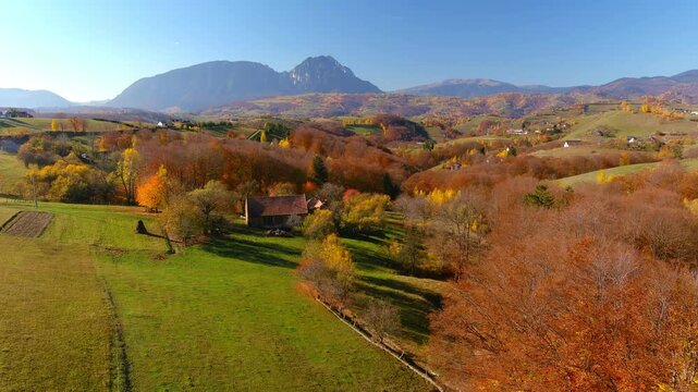 Aerial view of a rural house nestled among autumn trees and rolling hills with mountains in the background in Bran, Brasov, Romania.