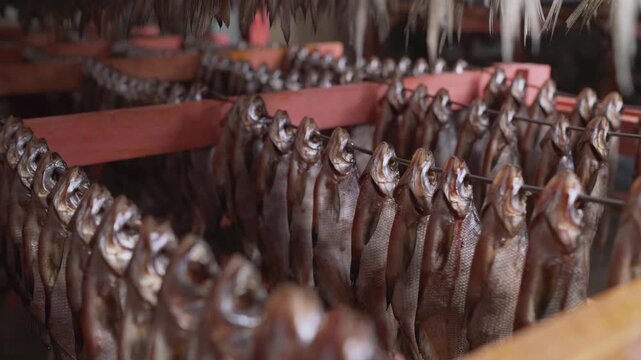 Salted dried fish hanging on racks for curing process