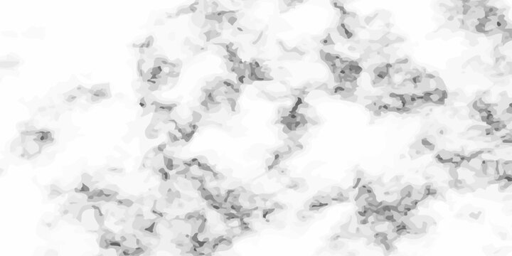 Abstract Gray and White Marble Texture Background, Elegant Organic Watercolor Smoke Pattern for Minimalist Graphic Design. A high-quality, minimalist abstract background