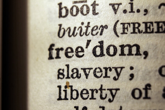 Word freedom printed on dictionary page, macro close up