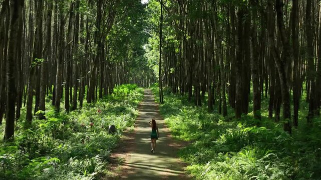 Aerial view of a woman walking along a path through a dense forest with tall trees and lush greenery in Kawah Ijen, East Java, Indonesia.