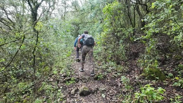 Two male hikers with backpacks ascending a steep, rocky path through a dense, green forest. View from behind following the men on their trek