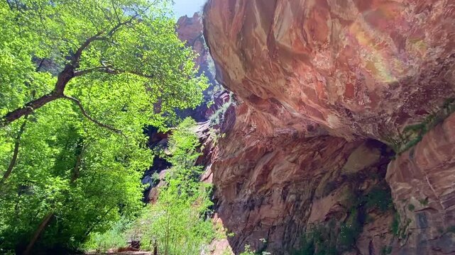 First-person view from under a red stone overhang looking up at sunny tree tops and clear blue sky. Distant travelers are seen resting by a mountain stream. Cinematic Arizona landscape adventure.