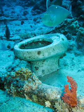 Sunken Toilet at Shark Yolanda Reef, Ras Mohammed National Park &ndash; Red Sea Pollution Concept