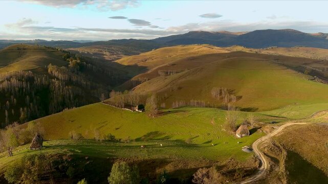 Aerial view of rolling green hills with traditional thatched houses and winding dirt paths under a soft evening light in Salciua de Jos, Alba County, Romania.